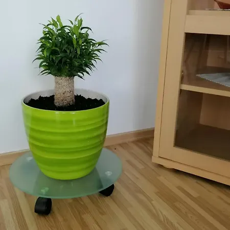 Nora Garden فيلة سراييفو